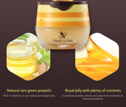 Bee Balm, Lip Balm Honey Pot, Smoothing Lip Lines, Hydrating And Moisturizing Dry And Cracked Lip Valentine's Day Gifts