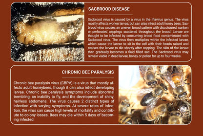 APIBUZZ BEE-BESTIE honey bee feed - Improve Immunity for Bees - Help European/American Foulbrood,Chalkbrood,Sacbrood,Beekeeping