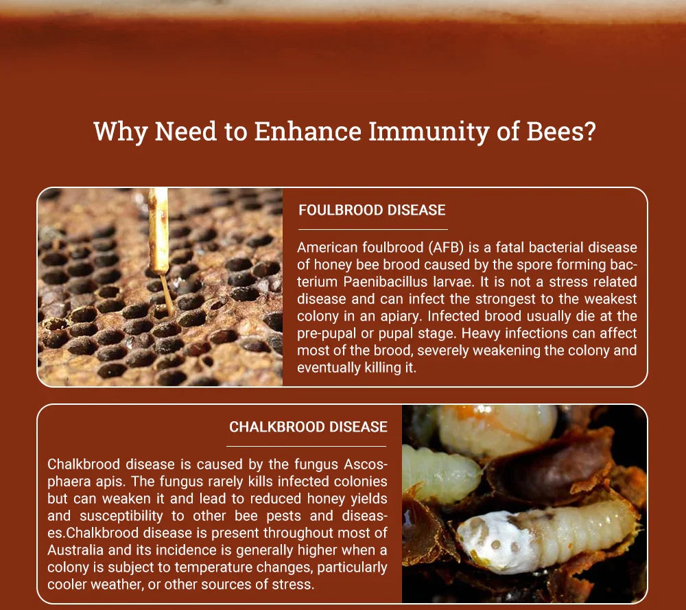 APIBUZZ BEE-BESTIE honey bee feed - Improve Immunity for Bees - Help European/American Foulbrood,Chalkbrood,Sacbrood,Beekeeping